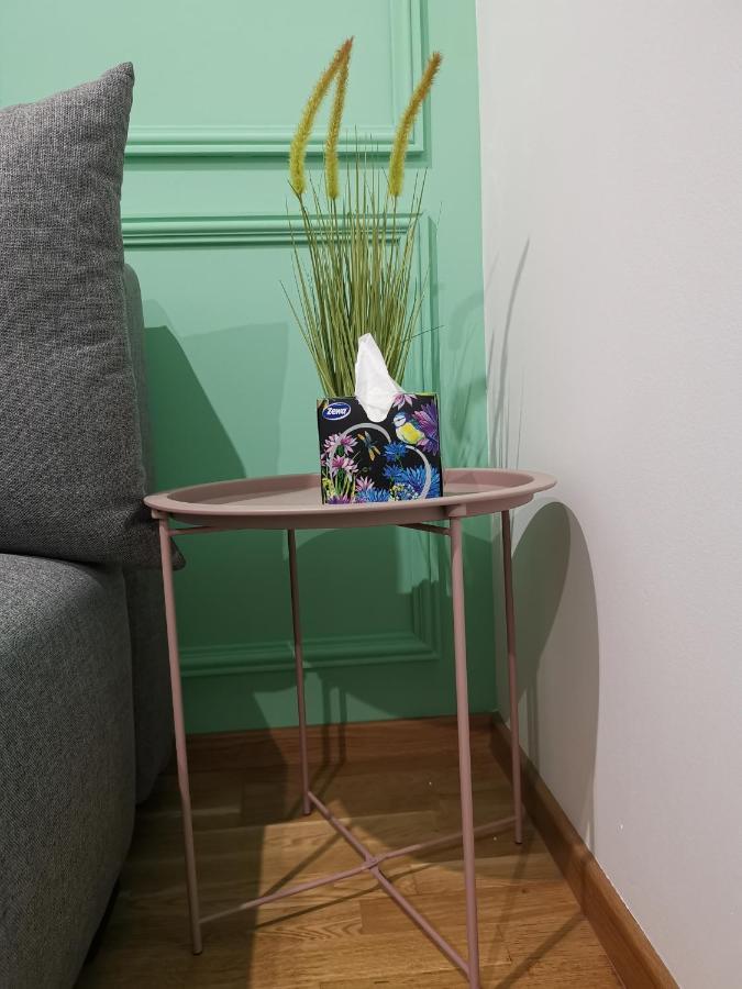 Mateja Apartment Nowy Sad Zewnętrze zdjęcie