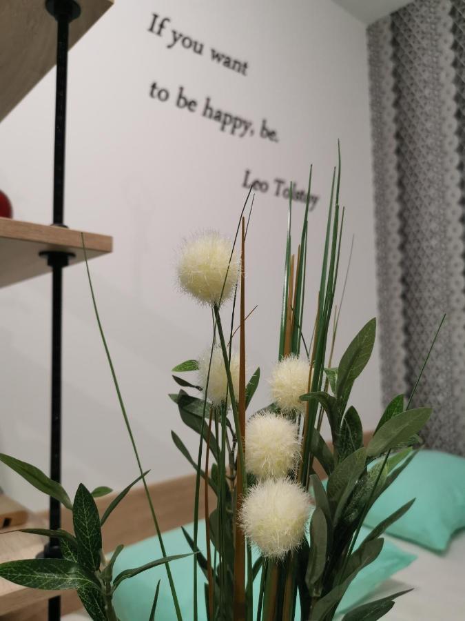 Mateja Apartment Nowy Sad Zewnętrze zdjęcie
