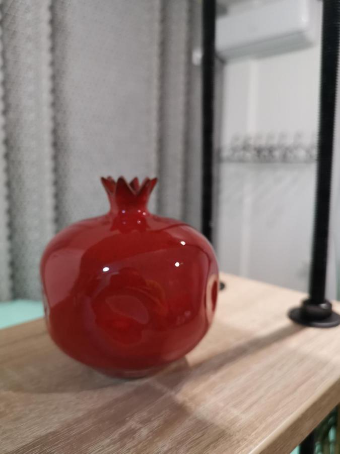 Mateja Apartment Nowy Sad Zewnętrze zdjęcie